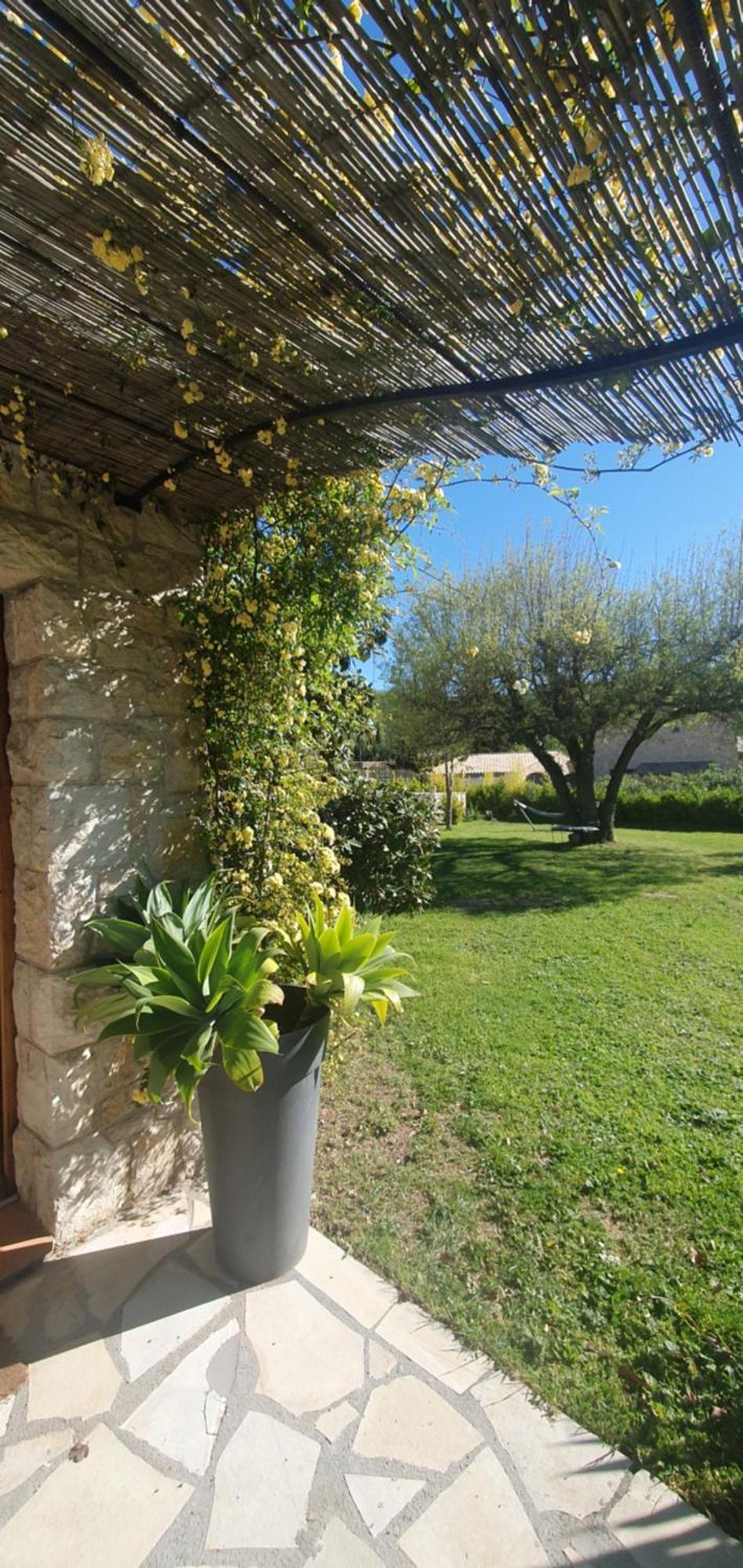 Chez Dom & Albert Saint-Cezaire-sur-Siagne Exterior photo